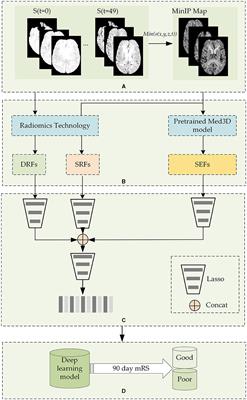 Ischemic stroke outcome prediction with diversity features from whole brain tissue using deep learning network